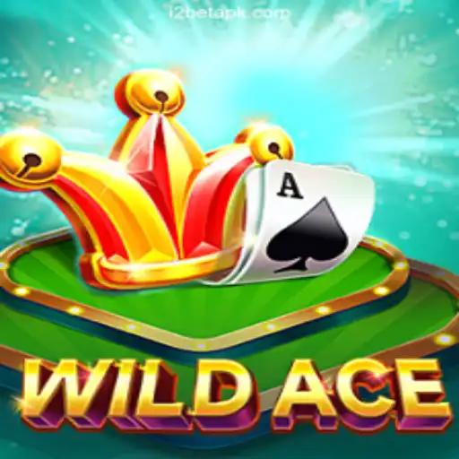 Exploring the Thrills of WildAce: Brazil's Premier Gaming Experience